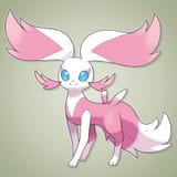 images (9)