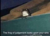 Frog of judgement