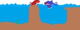 Ocean