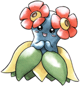 bellossom