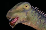 nigersaurus-08