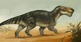 Gorgonopsid