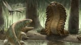 the-carboniferous-period-the-time-where-arthropods-were-the-v0-a4crcigi7z3d1[1]