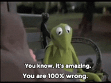 kermit-is-amazed-by-how-wrong-you-are