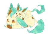 Size difference