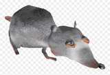 370-3701075_jerma-giant-rat-png-transparent-png