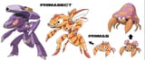 paras