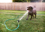 dog hose
