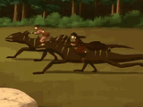 Mongoose-Lizard-Running-on-Water-2_480x480[1]
