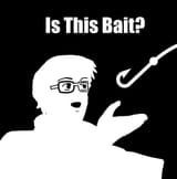 is this bait