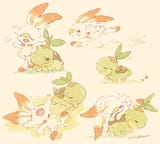 the tortoise and the hare
