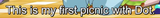 SPOILER_image