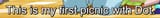 SPOILER_image