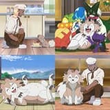 images[1]