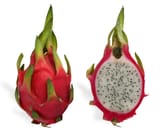 Pitahaya_Dragonfruit