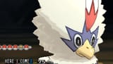 rufflet