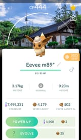 1729237403619