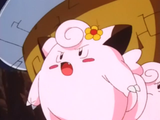 250px-Clefairy_leader