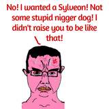sylveon not a nigger dog