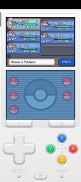 Platinum Team