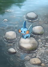 __mudkip_pokemon_drawn_by_dorobo_93__435239c6c2c75348a36048c307301797