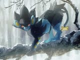 __luxray_pokemon_drawn_by_fusenryo__e5d2466d109a04855ea9dff077a47638