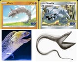 Pelican eel steelix