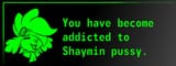 You Have Become Adicted To Shaymin Pussy