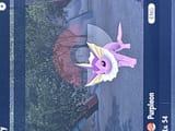 Thread 57983034 OP Image