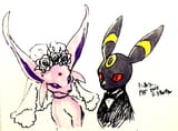 196 197 Pairing 371 Bride and Groom @zundokobe6ntyo