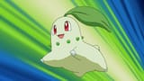 chikojump