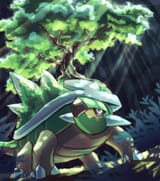 torterra-under-the-sun-og65p5y1q4j4pcq0