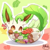 Salad Bowl
