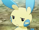 minun is unimpressed (¬_¬ )