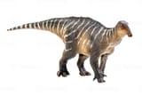 iguanodon-dinosaur-on-white-isolate-background-clipping-path-photo