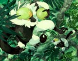 __passimian_pokemon_drawn_by_nyala_nyala_766__sample-4fc93a46f63dafd240eee398c73bf2f4
