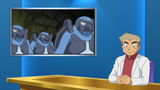 Oak_Live_Caster_BW096