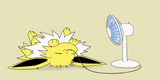 Fan