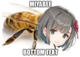 Miyabee