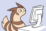 furret at computer