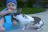 baby-and-rabbit-with-cookie