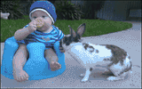 baby-and-rabbit-with-cookie-full