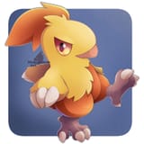 chibi combusken by dragonceleshart
