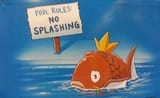 No Splash