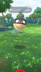 orb
