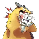 cyndaquil-typhlosion-pokemon-emg1y0mbdniq9j1t