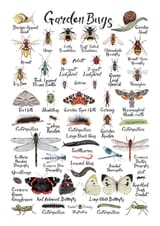 Garden-Bugs-PosterA4-web