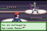 True_Master