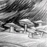 medusoidmycelium