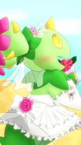 maractus (51)